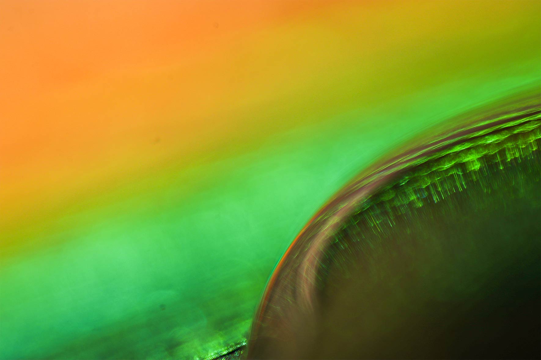 diffused colors in the background with a water droplet as a main subject