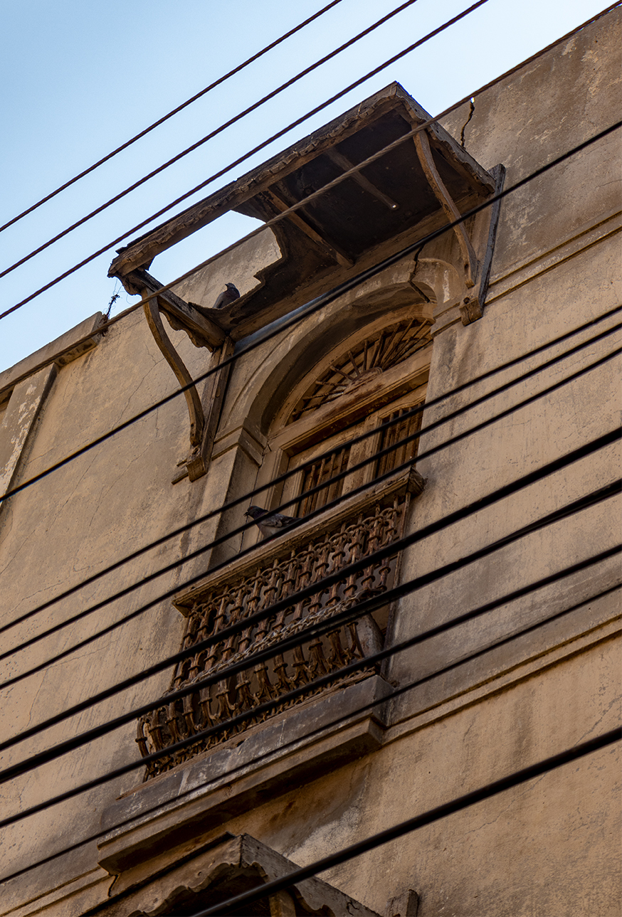 a pigeon sitting on a ledge