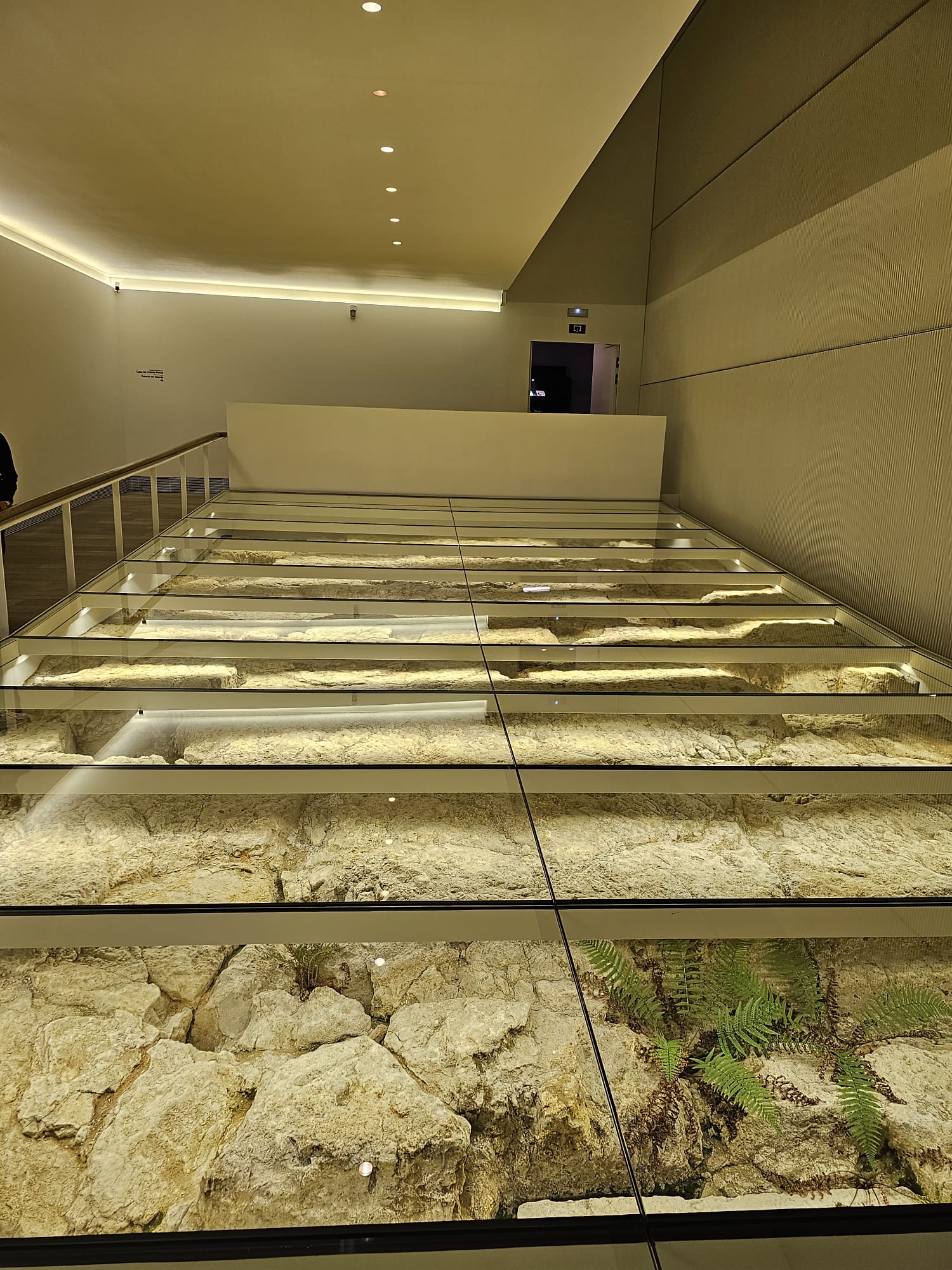 The archeological remains at the museum