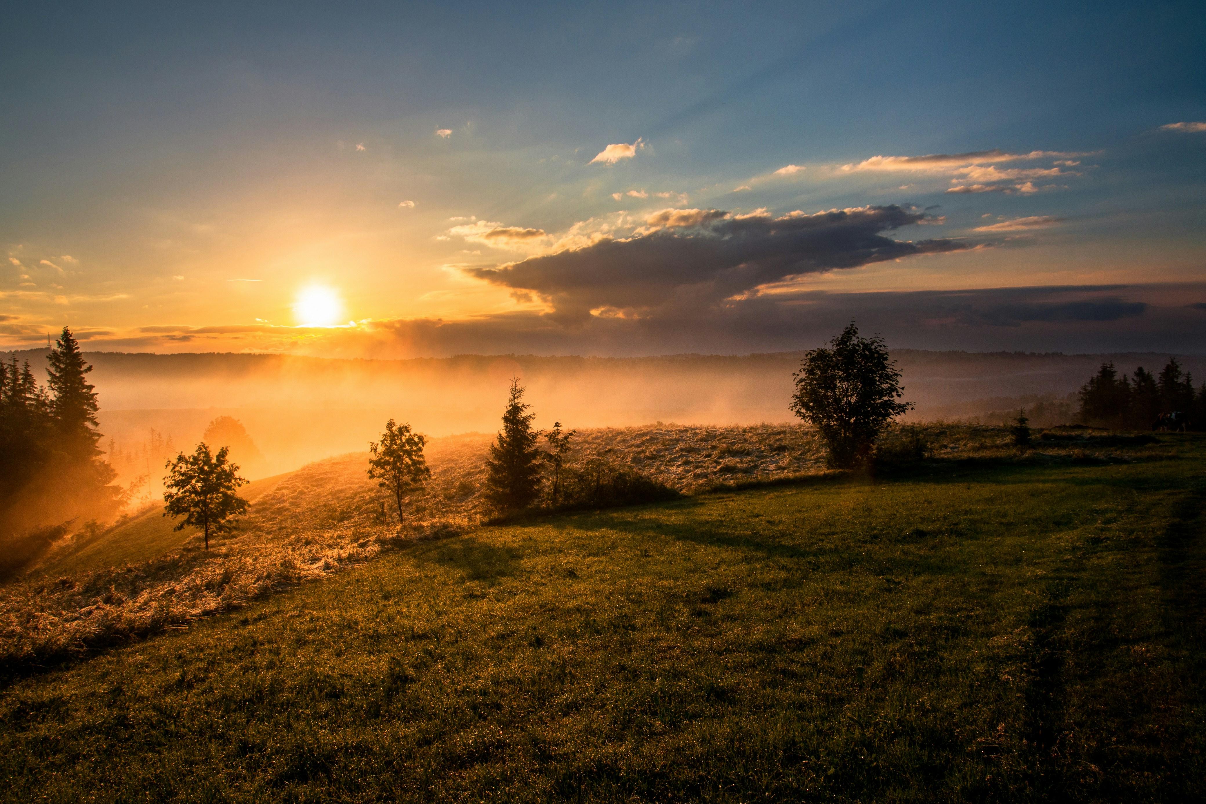 sunrise over a meadow