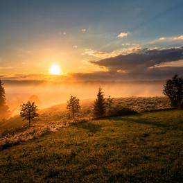 sunrise over a meadow
