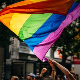 pride flag being waved above a crowd