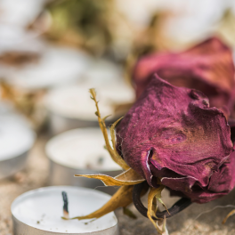 burnt candles and dead roses on the ground