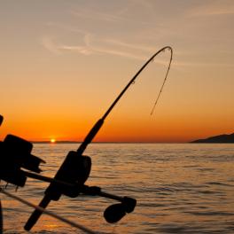 fishing rod against the background of water and the sunset