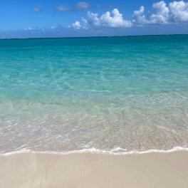 A picture of a beach.