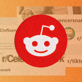 reddit logo on a collage of titles of snark pages