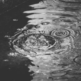 drops of rain on a puddle