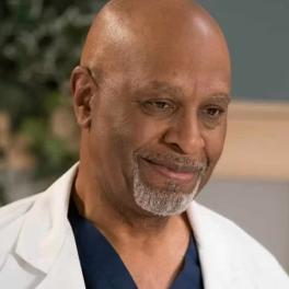 Richard Webber from Grey's Anatomy