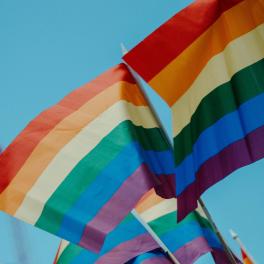 rainbow flags