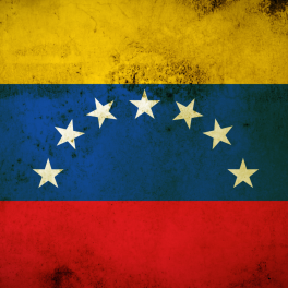 Venezuela flag