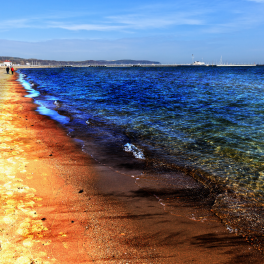 a shoreline covered in oil