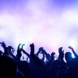 crowd raising their hands at a concert