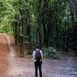 person standing in the woods at a fork in the path