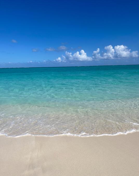 A picture of a beach.