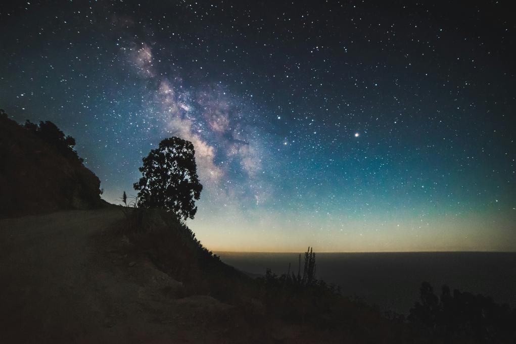 silhouette of a tree against a starry sky